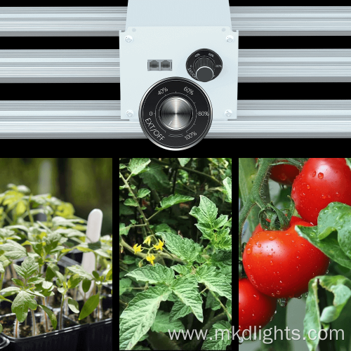 Indoor Full Spectrum White Grow Light Garden Kit